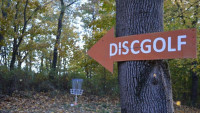 discgolf IMG2